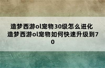 造梦西游ol宠物30级怎么进化 造梦西游ol宠物如何快速升级到70